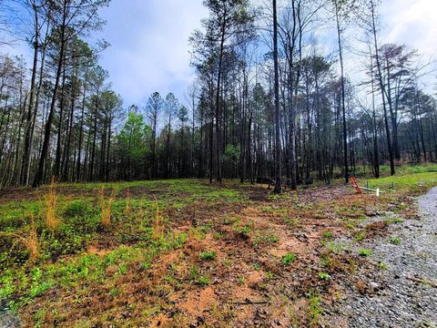 Ellijay Vacant Lot in Mountain Gate