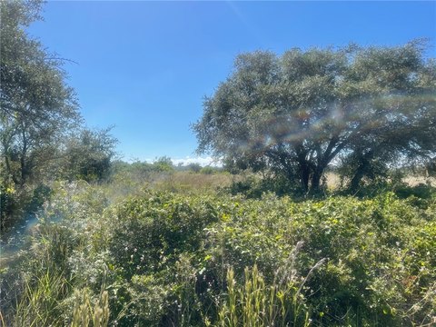 Rockport Land for Commercial Development