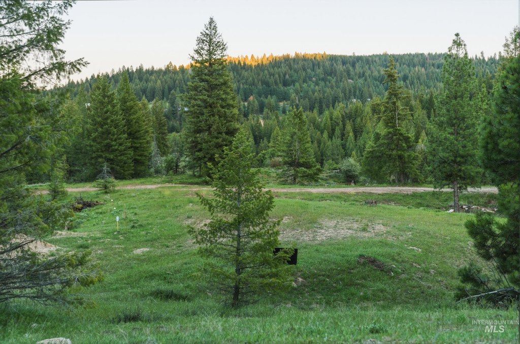 Picture 6