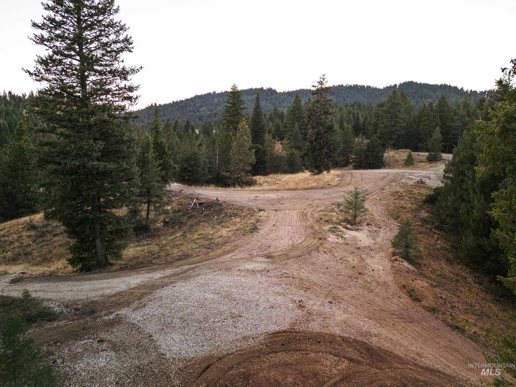 Picture 13