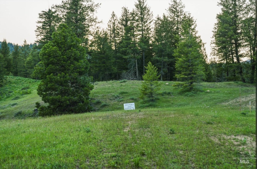 Picture 7