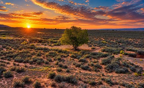 Land, Ranchos de Taos, NM