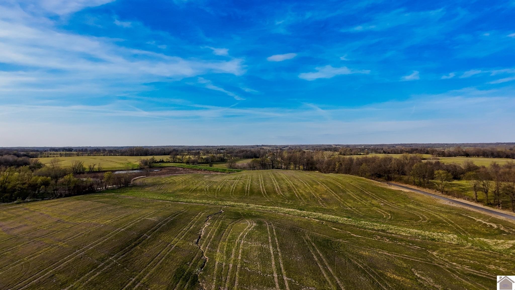 Productive Farmland Auction in Kentucky