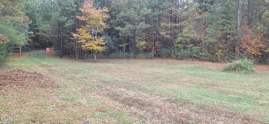Picture 5