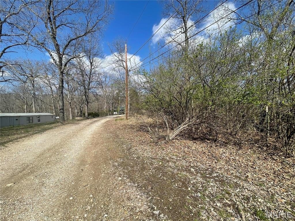 Picture 14