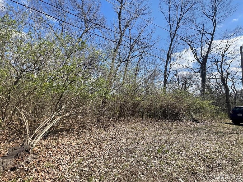 Picture 17