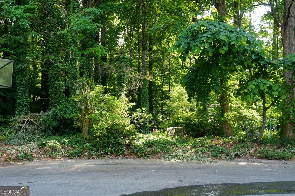 Picture 8