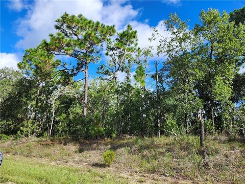 Land, Dunnellon, FL