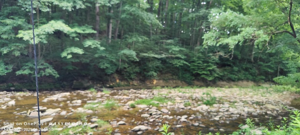 Picture 19