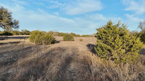 Sidney, TX Pastureland Opportunity