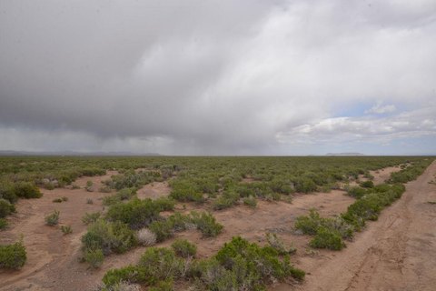 Spacious 20-Acre Desert Land Parcel