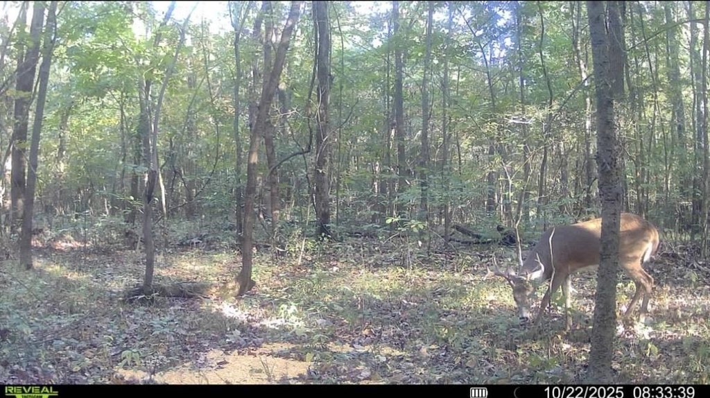 Picture 15