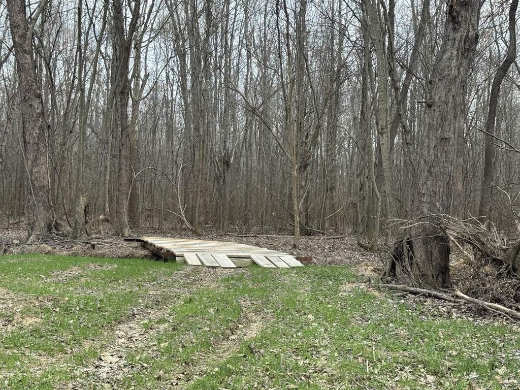 Picture 12