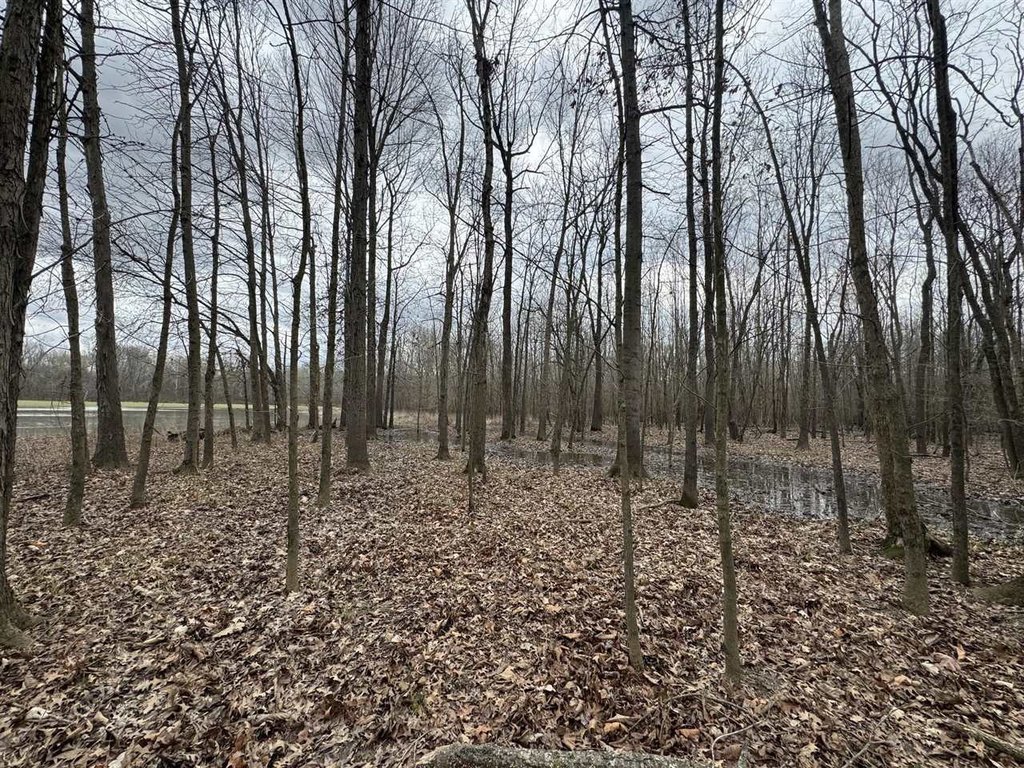 Picture 9