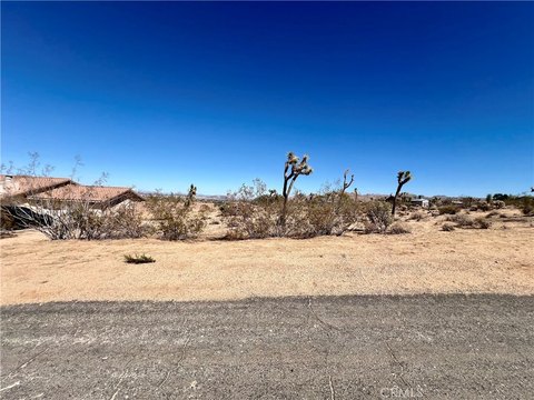 Joshua Tree Land Opportunity