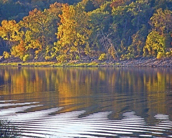 Picture 17
