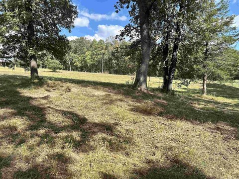 Residential Lot in Avilla Manor
