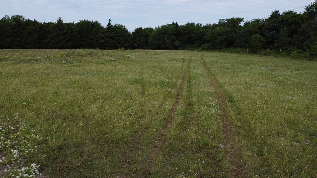 Picture 7