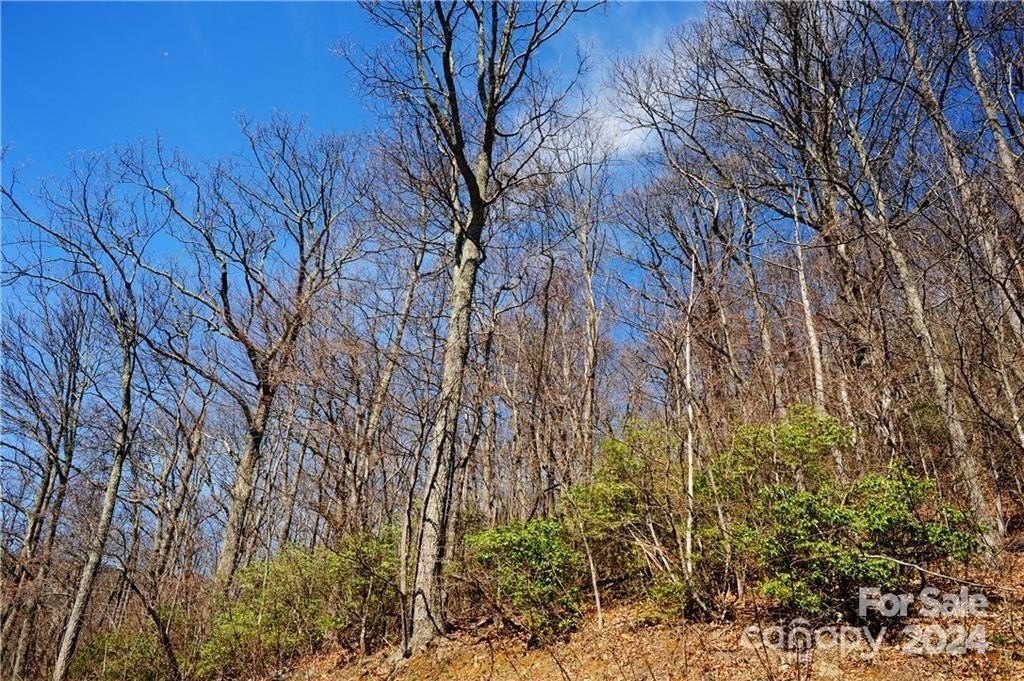 Black Mountain Building Lot