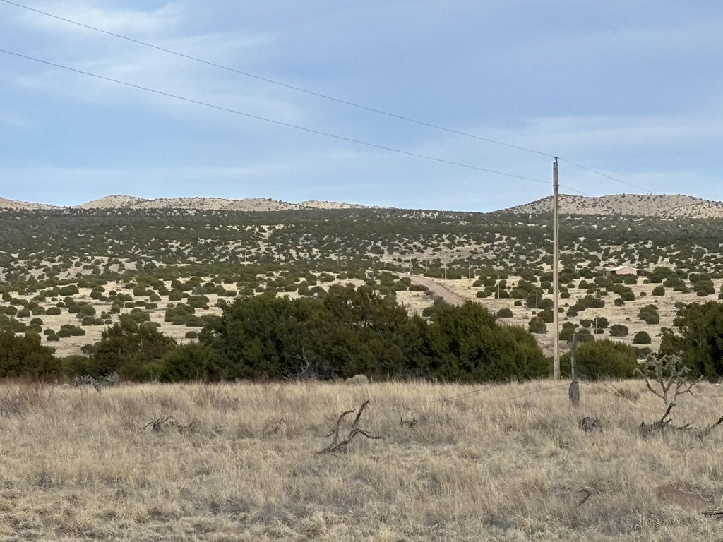Picture 9