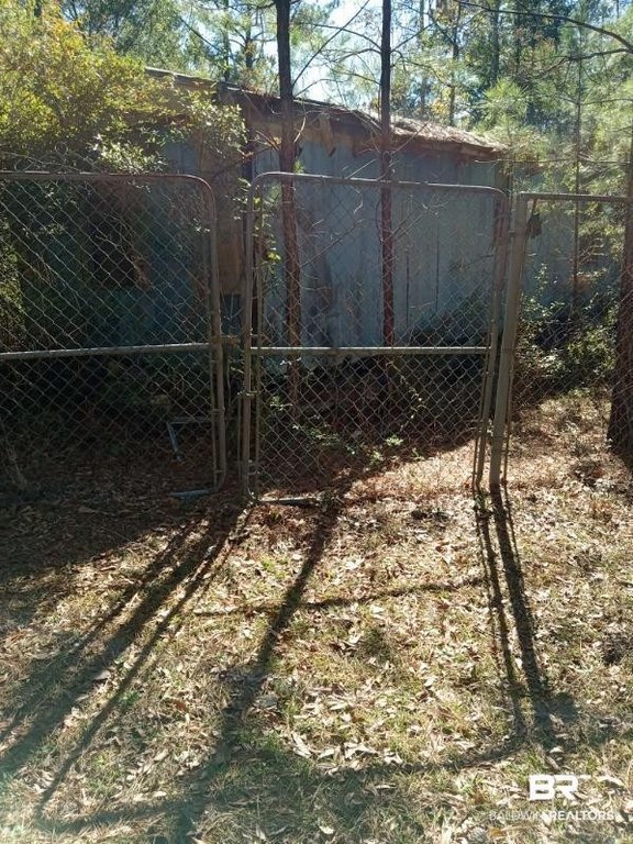 Picture 11
