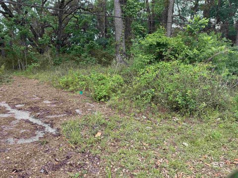 Stockton Land Parcel For Sale