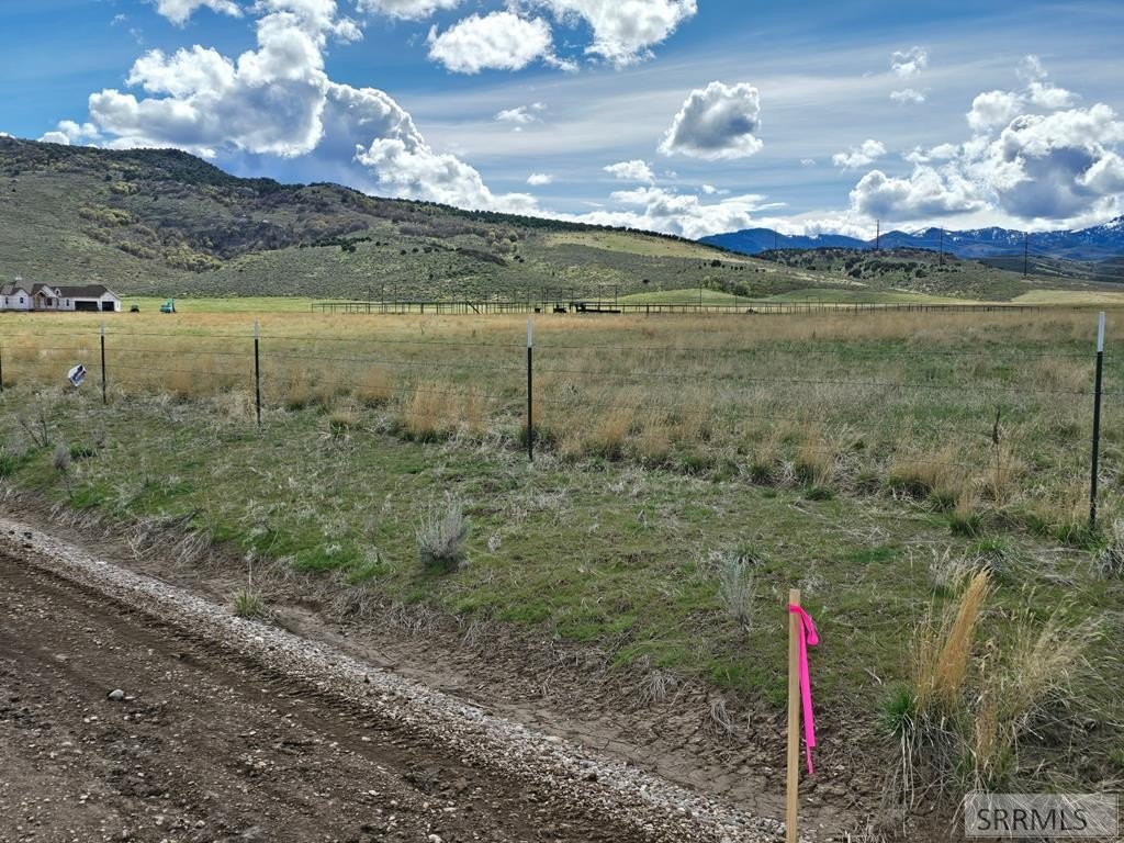 Picture 29