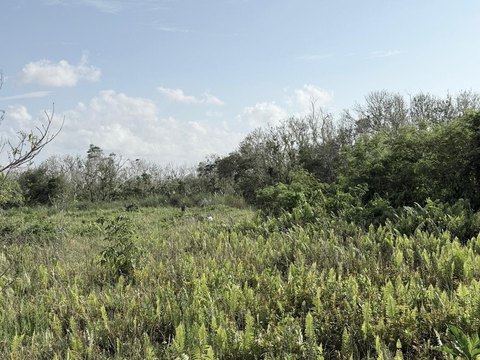 Commercial Land Along Route 3