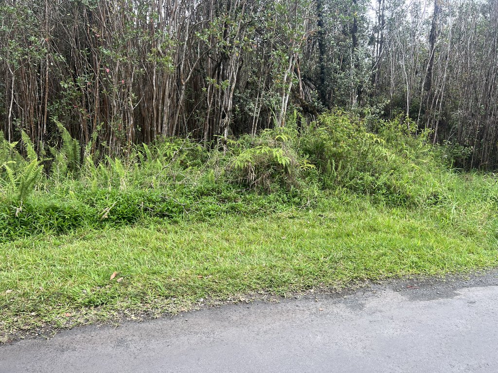 Picture 3