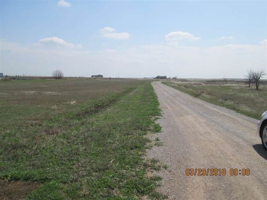 Picture 7