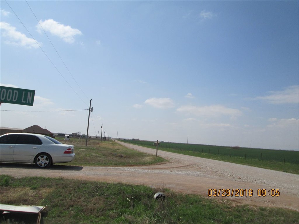 Picture 5