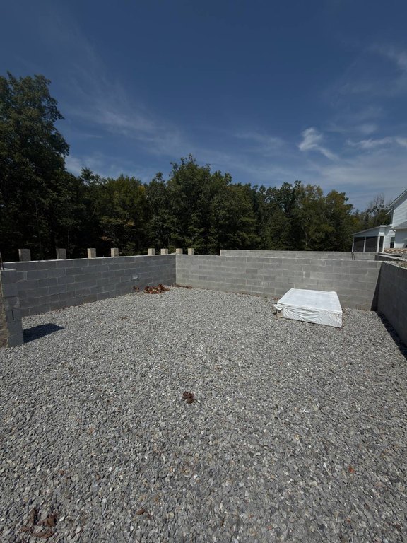 Picture 6