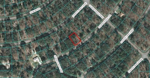 OCKLAWAHA, FL Land For Sale