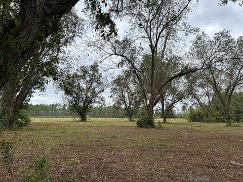 Glennville Land with Development Potential