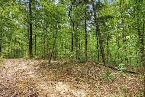 Land, Celina, TN