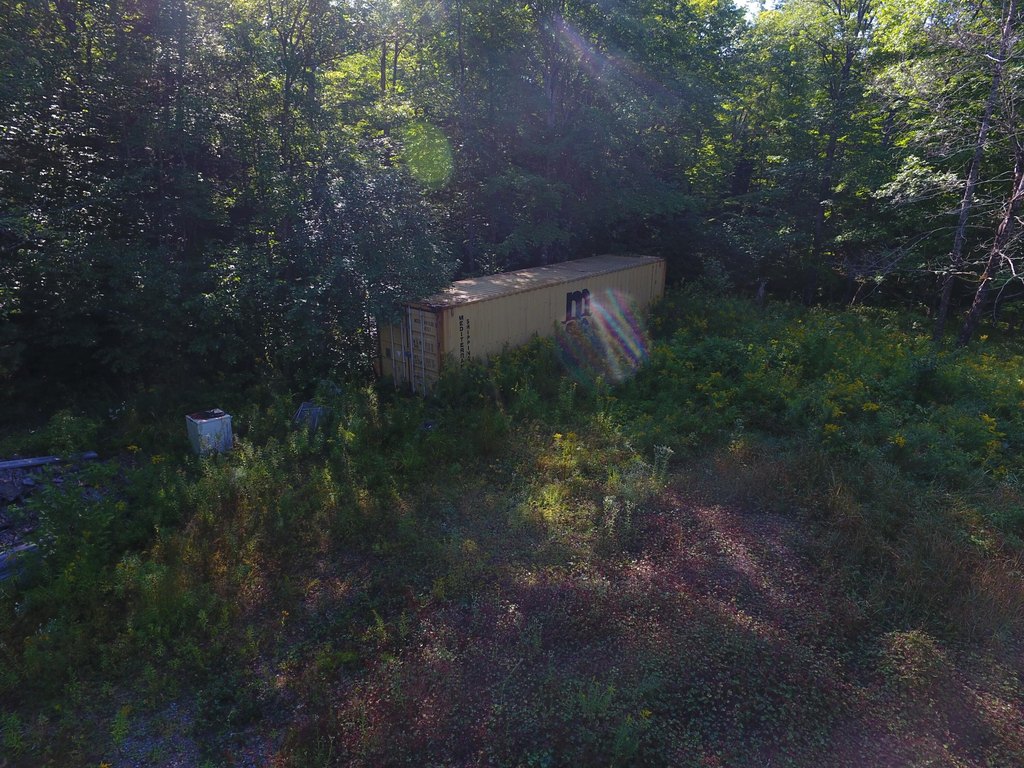 Picture 12