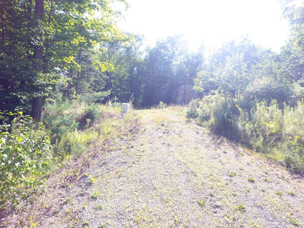 Picture 16