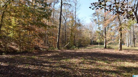 LAND - SYLACAUGA, AL