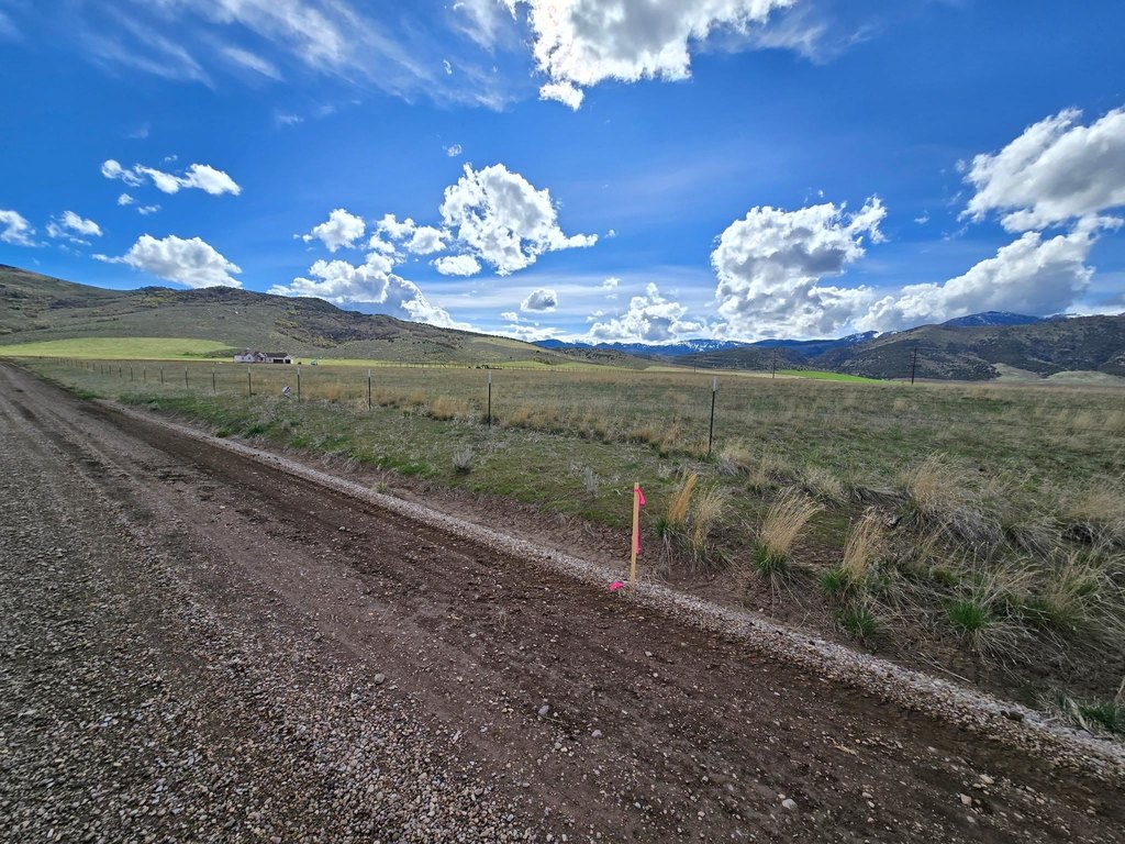 Picture 23