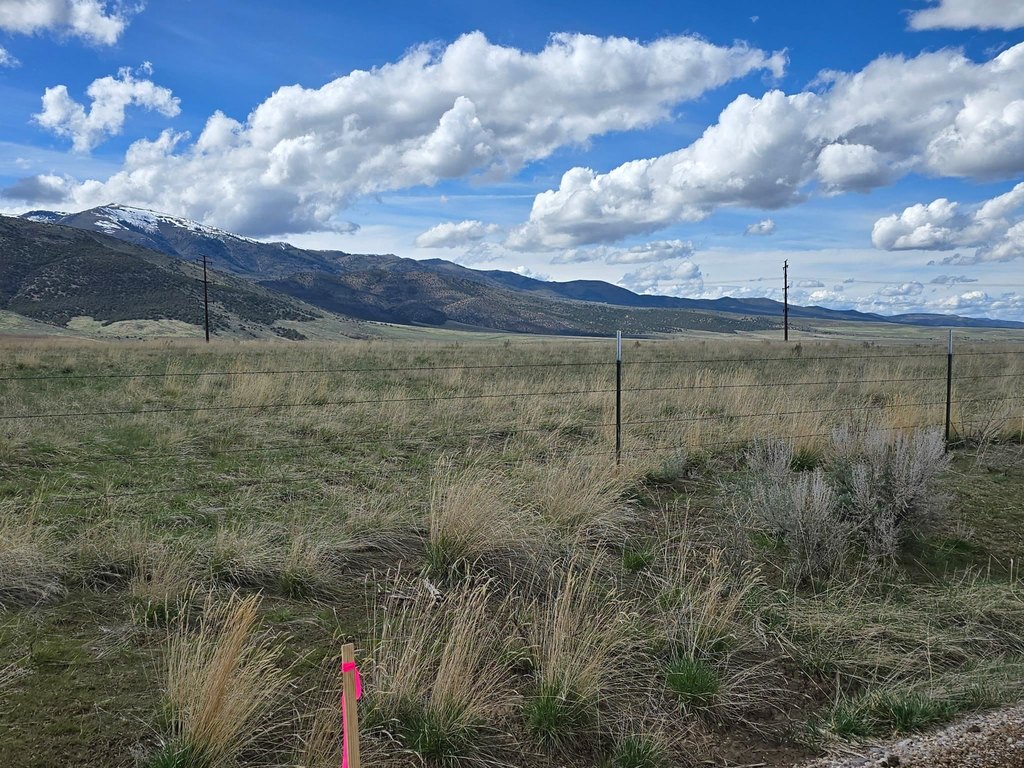 Picture 20