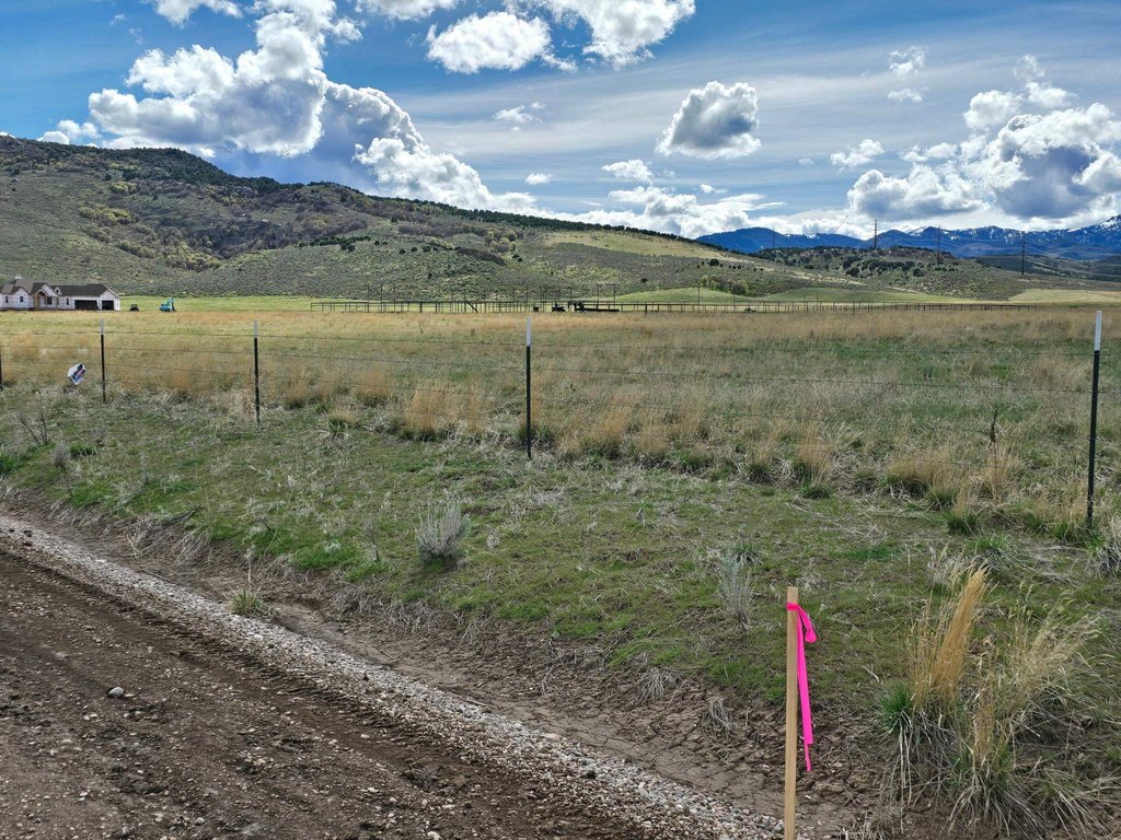 Picture 19