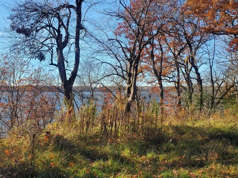 Lakefront Acre Lot with Frontage