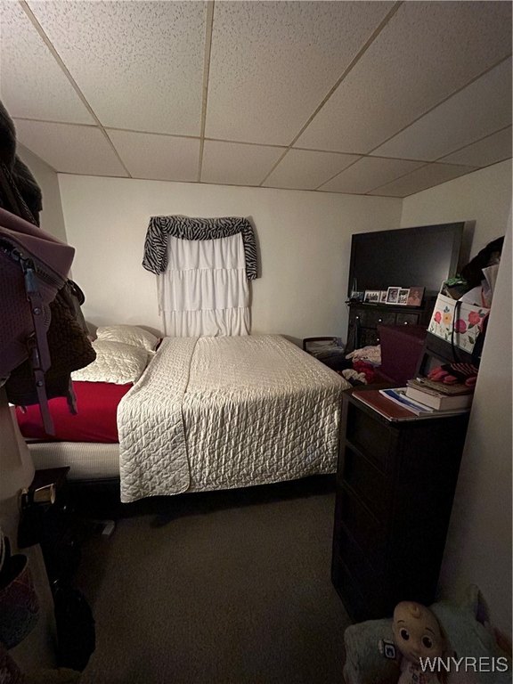 Picture 46