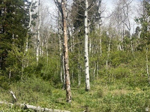 Picture 7