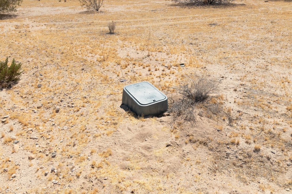 Picture 4