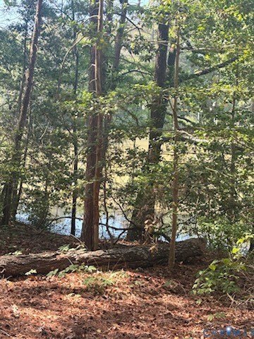 Waterfront Lot in Cabin Point