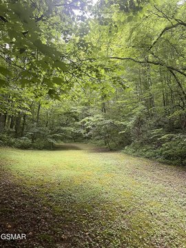 Sevierville Land Near Gatlinburg