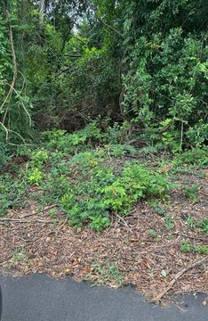 Land in North Augusta, SC