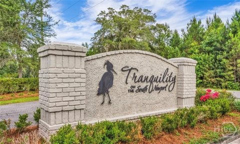 LAND - Townsend, GA