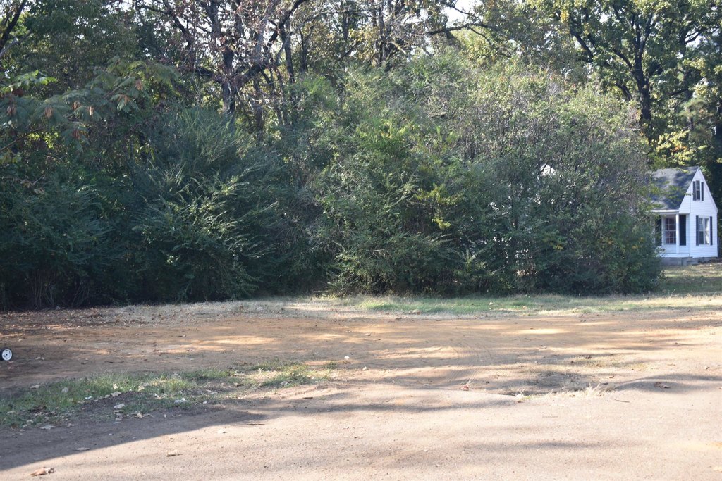 Picture 10